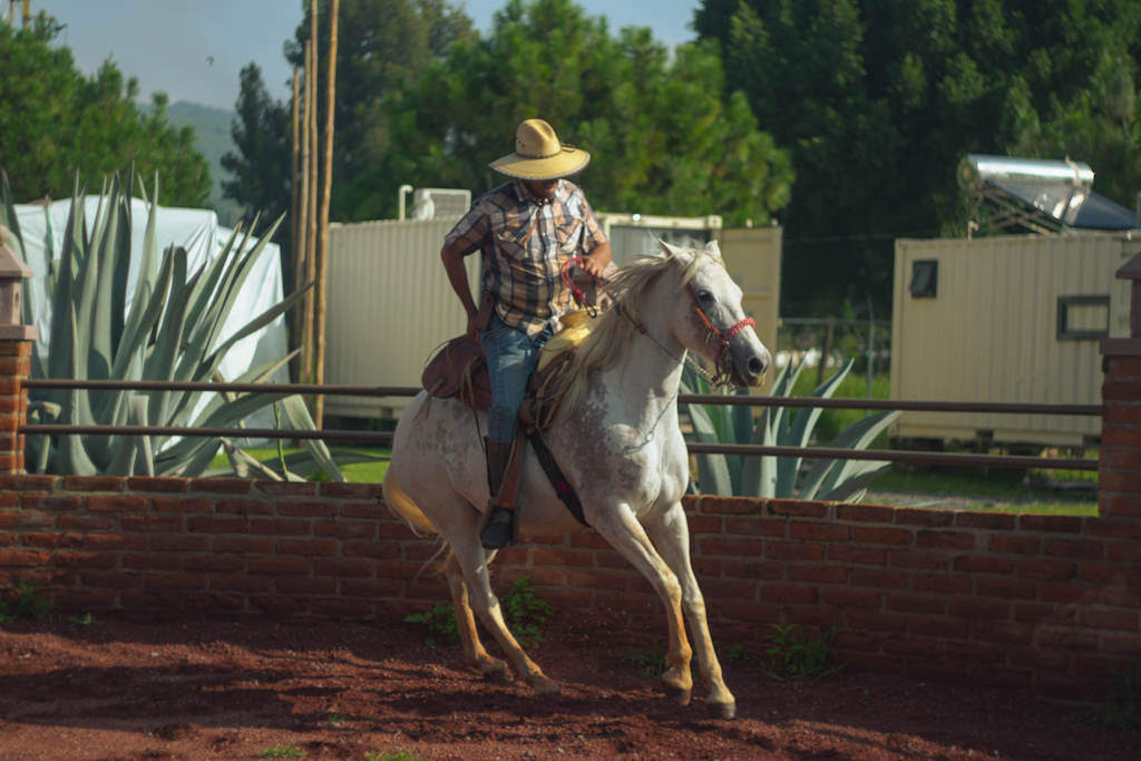 Cabalgata