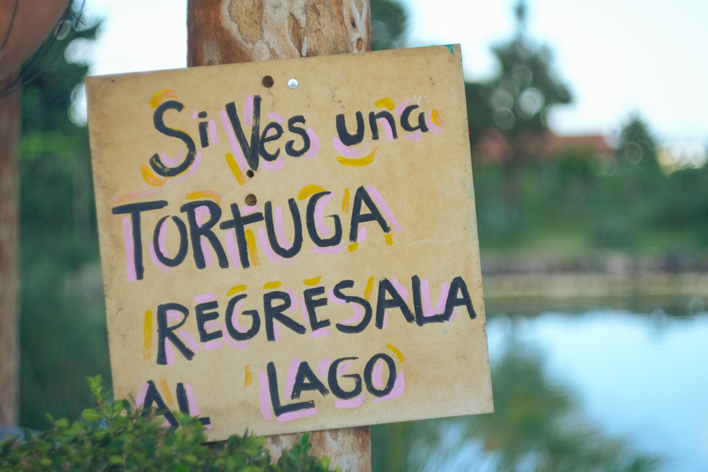 Cartel del lago