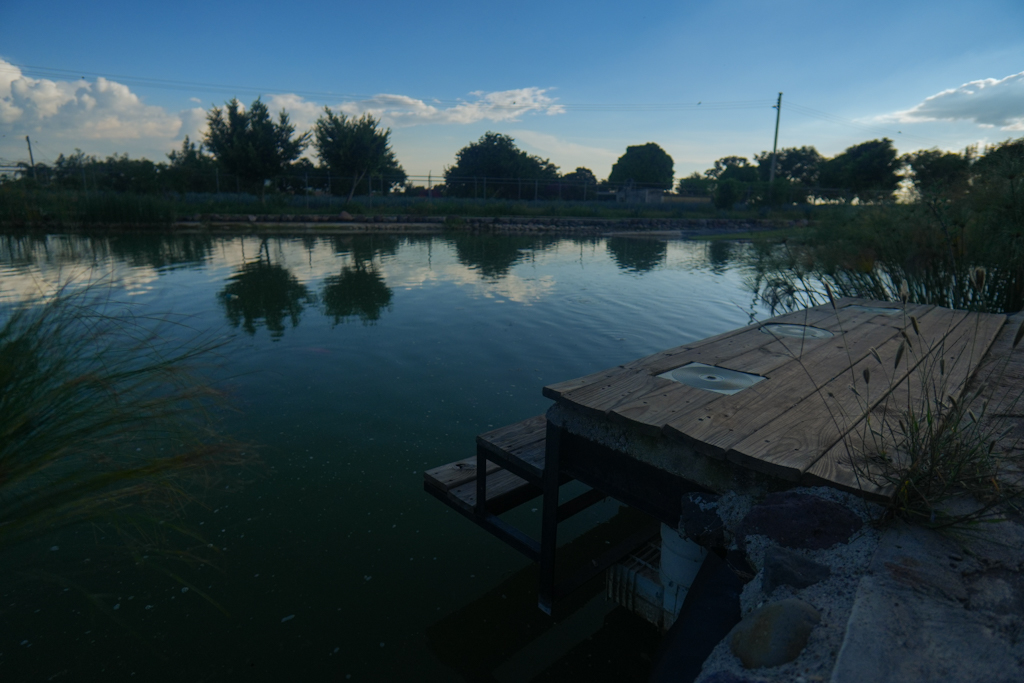 Vista del lago