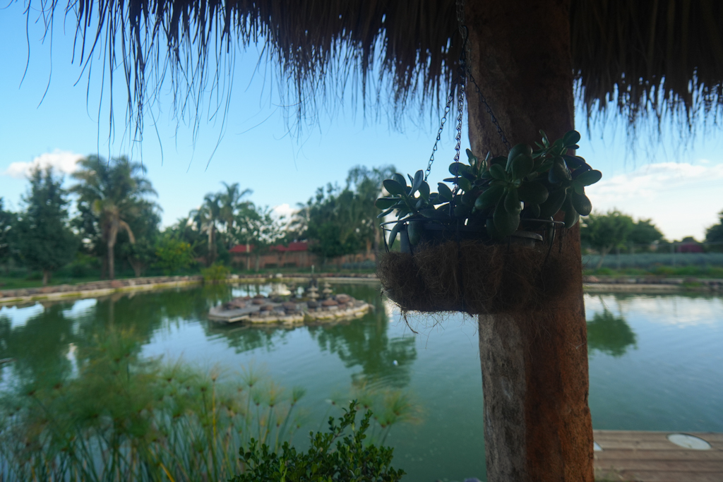 Vista del lago
