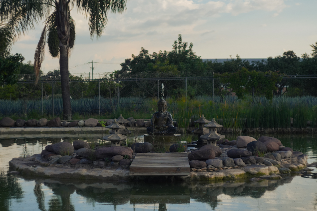 Vista del lago
