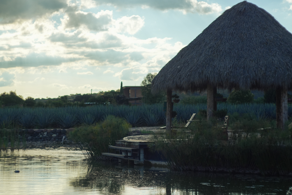 Vista del lago