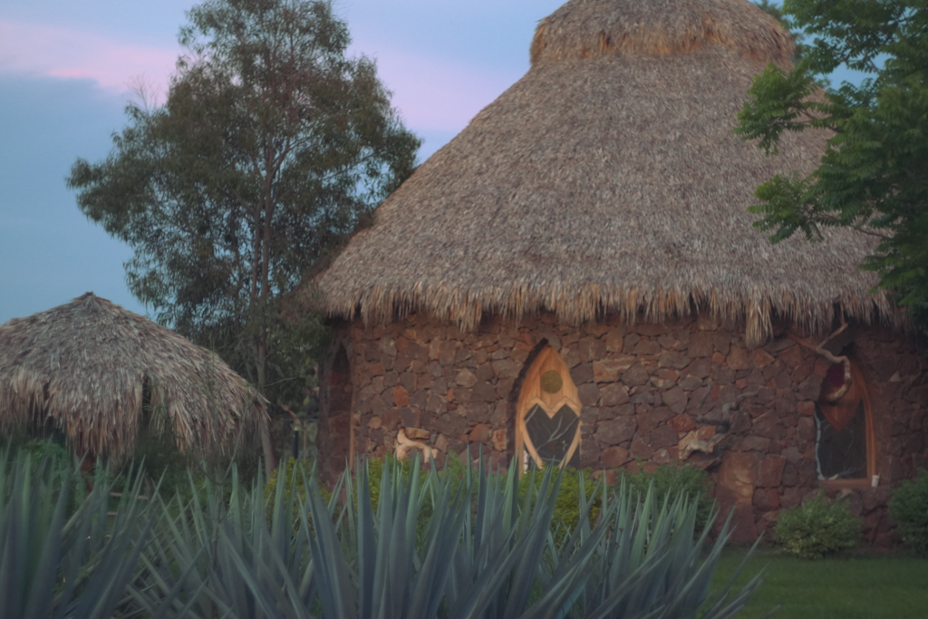 Osho vista por fuera de la finca El Péndulo