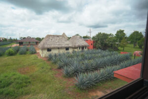 Vista desde Agave